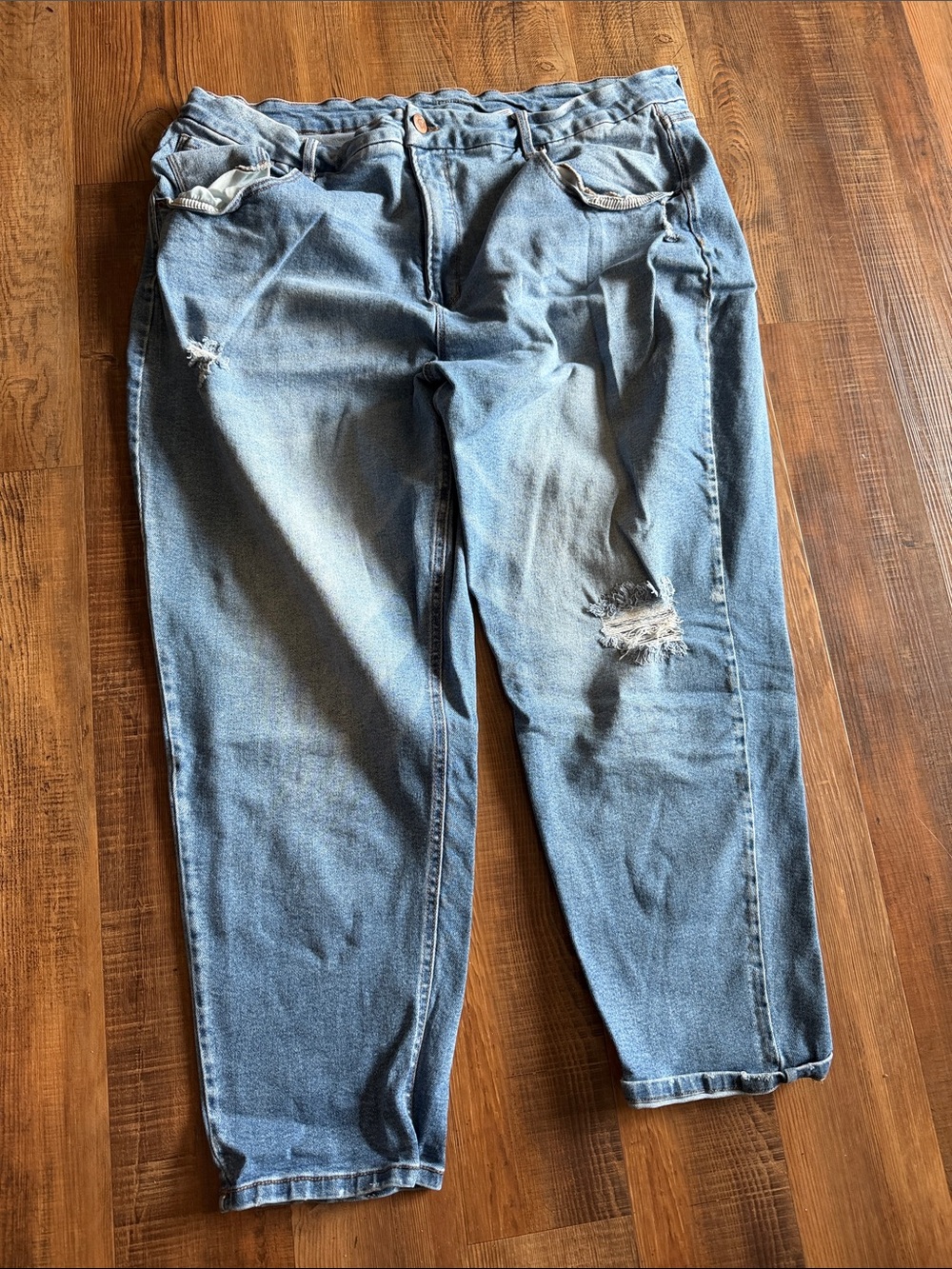 Terra & Sky Light Blue Distressed Cropped Jeans